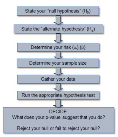 iguana aid soft drinks hypothesis testing|One.